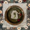 Amulette de Printemps "Ostara"