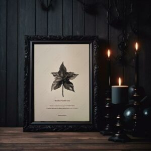 Illustration originale « Feuille d’érable noir »