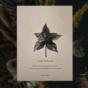 « Feuille d’érable noir »