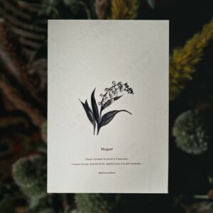 « Muguet »