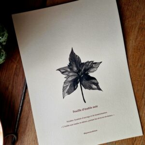 Illustration originale « Feuille d’érable noir »